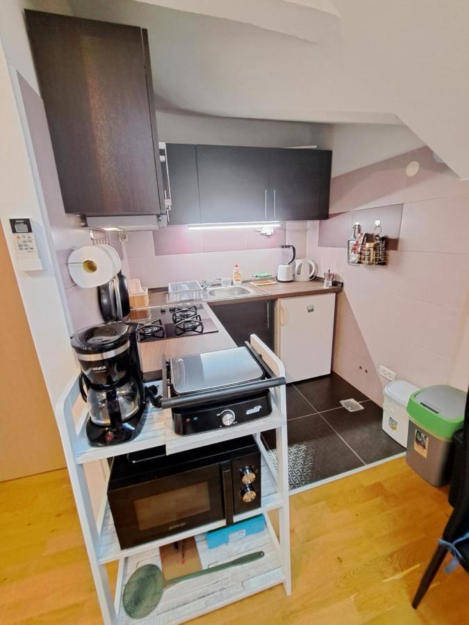 Casa Antonio With Swimming Pool Apartment Novigrad  ภายนอก รูปภาพ