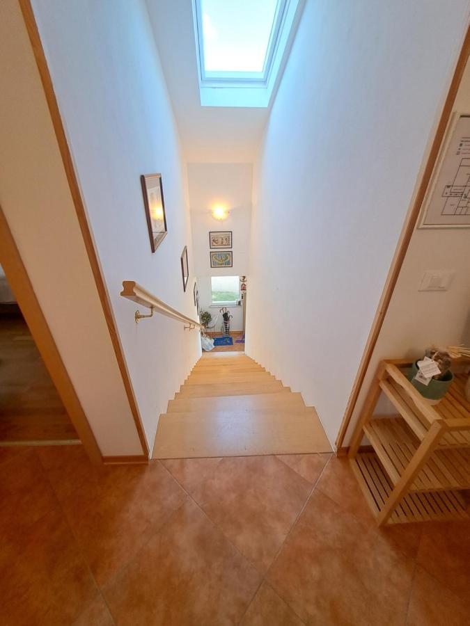 Casa Antonio With Swimming Pool Apartment Novigrad  ภายนอก รูปภาพ