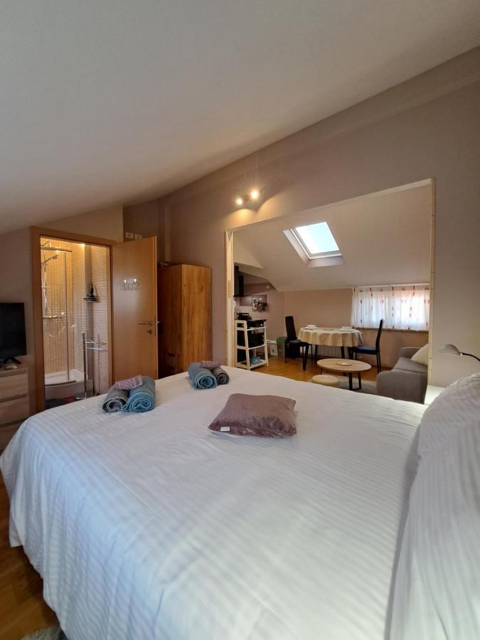 Casa Antonio With Swimming Pool Apartment Novigrad  ภายนอก รูปภาพ