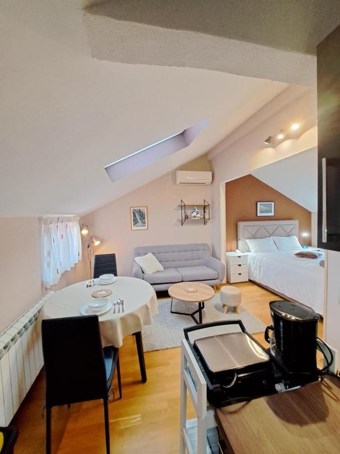 Casa Antonio With Swimming Pool Apartment Novigrad  ภายนอก รูปภาพ