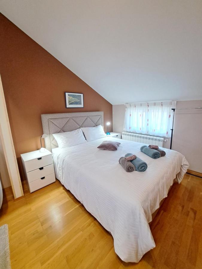Casa Antonio With Swimming Pool Apartment Novigrad  ภายนอก รูปภาพ