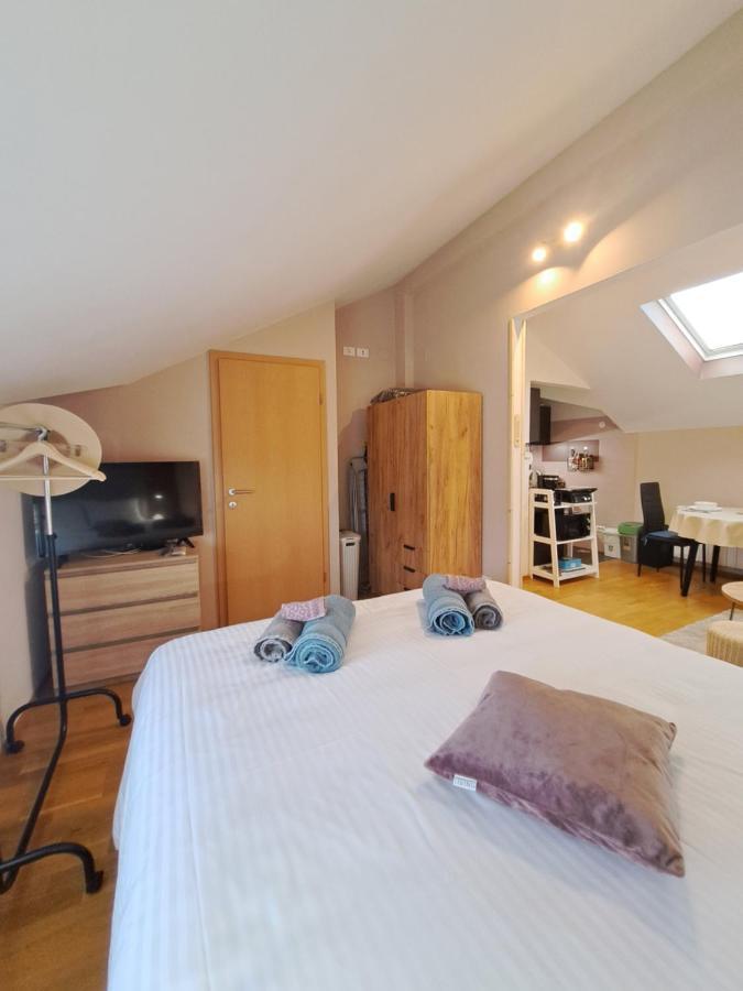 Casa Antonio With Swimming Pool Apartment Novigrad  ภายนอก รูปภาพ