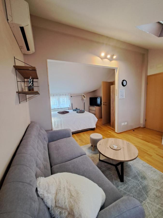 Casa Antonio With Swimming Pool Apartment Novigrad  ภายนอก รูปภาพ