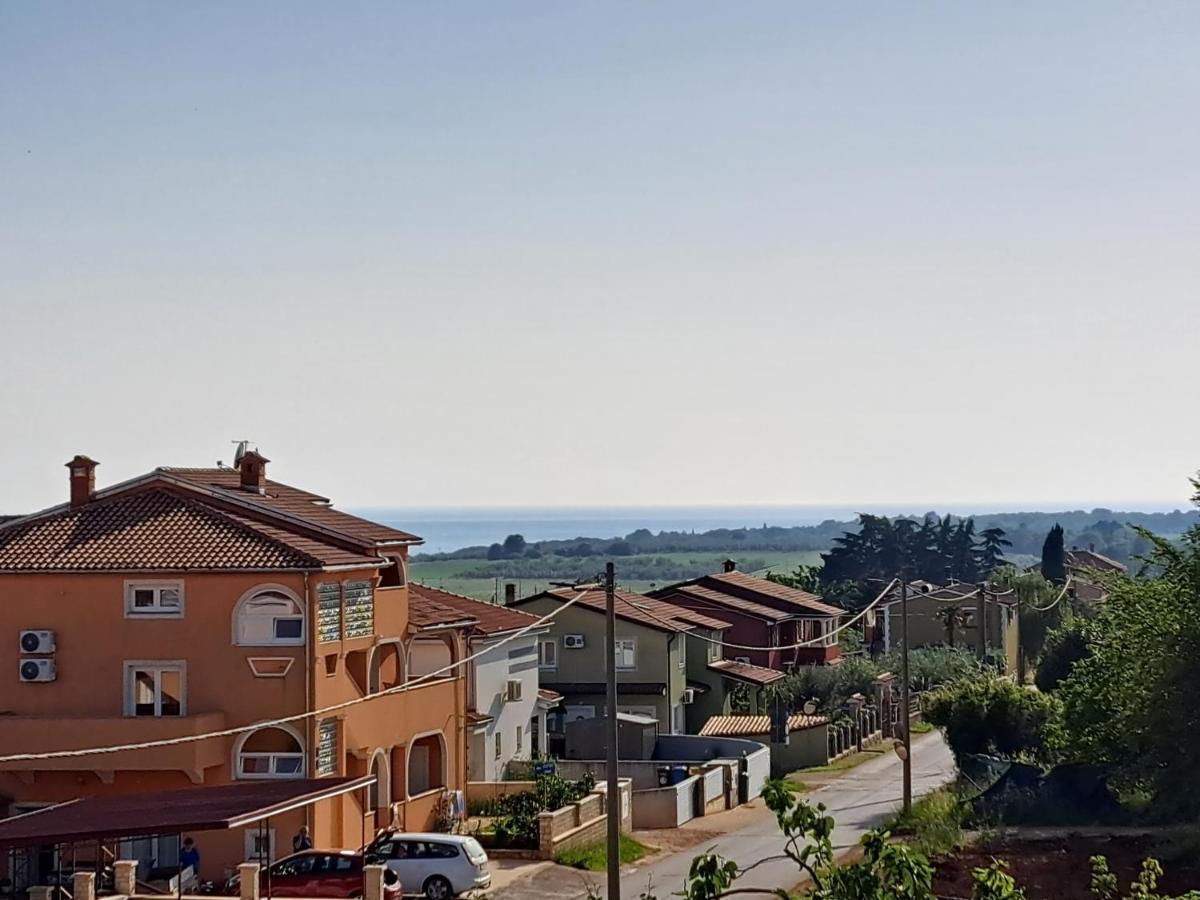 Casa Antonio With Swimming Pool Apartment Novigrad  ภายนอก รูปภาพ