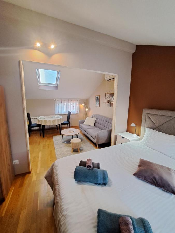 Casa Antonio With Swimming Pool Apartment Novigrad  ภายนอก รูปภาพ