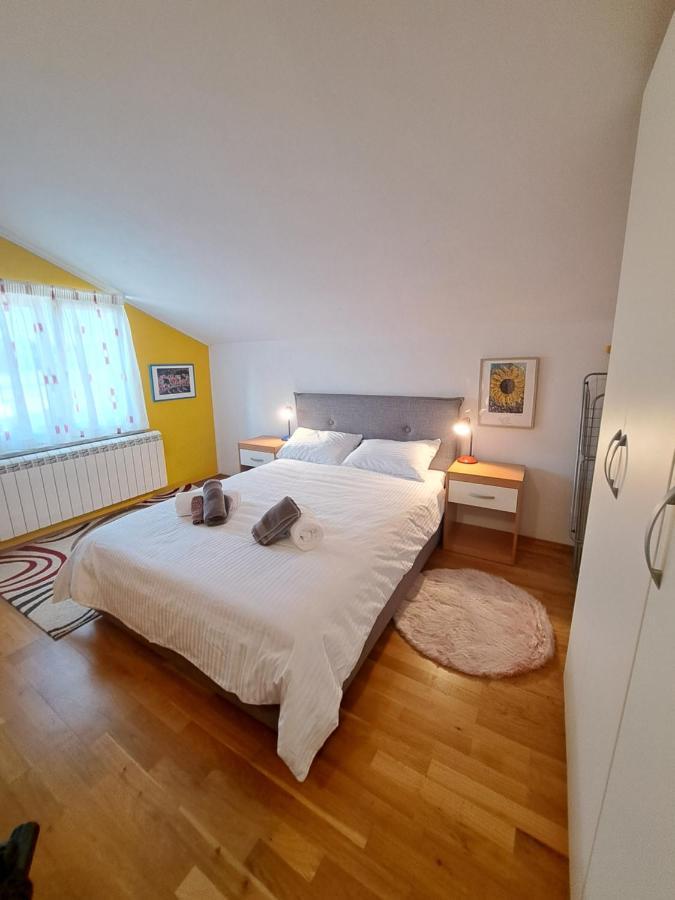 Casa Antonio With Swimming Pool Apartment Novigrad  ภายนอก รูปภาพ