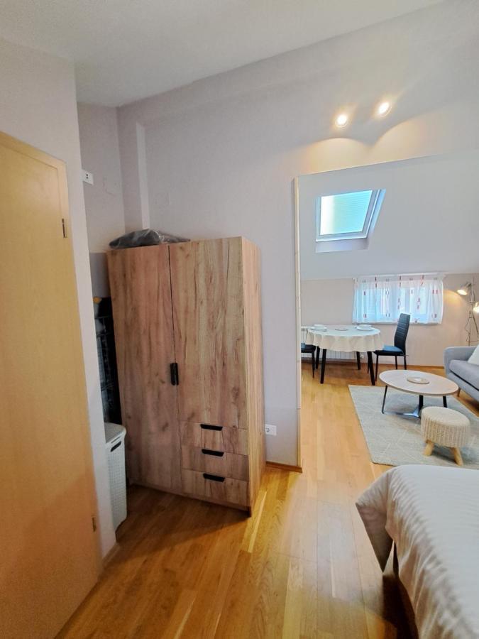 Casa Antonio With Swimming Pool Apartment Novigrad  ภายนอก รูปภาพ
