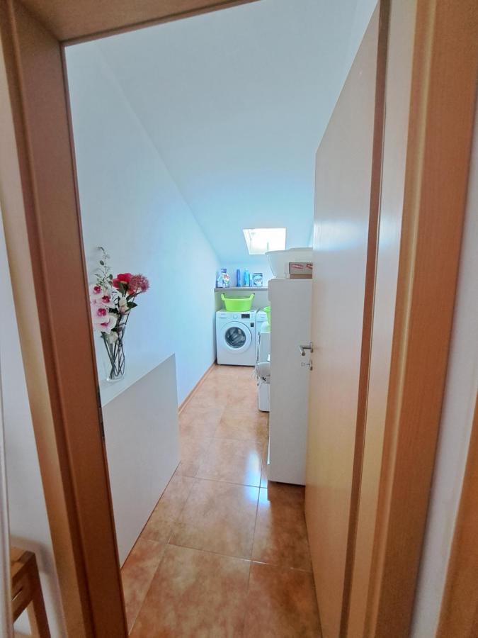 Casa Antonio With Swimming Pool Apartment Novigrad  ภายนอก รูปภาพ